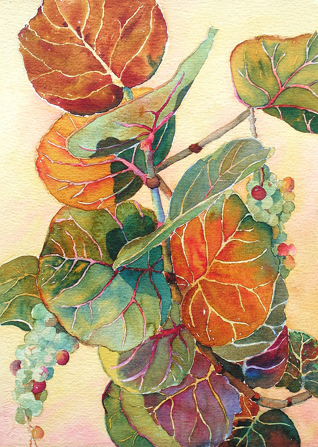 Seagrape Season Painting by Judy Mercer