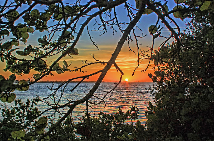 Sunset Photograph - Seagrape Sunset by HH Photography of Florida