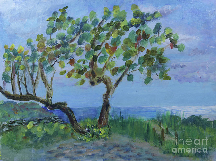 Seagrapes at Boca Inlet Beach Painting by Donna Walsh