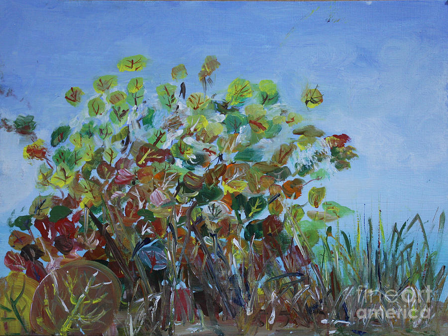 Nature Painting - Seagrapes at Key West - Plein Air by Donna Walsh