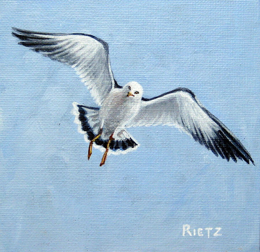 Seagul In The Sky Painting by Julia RIETZ - Fine Art America