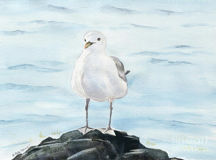 Seagull 2 Painting by Melly Terpening