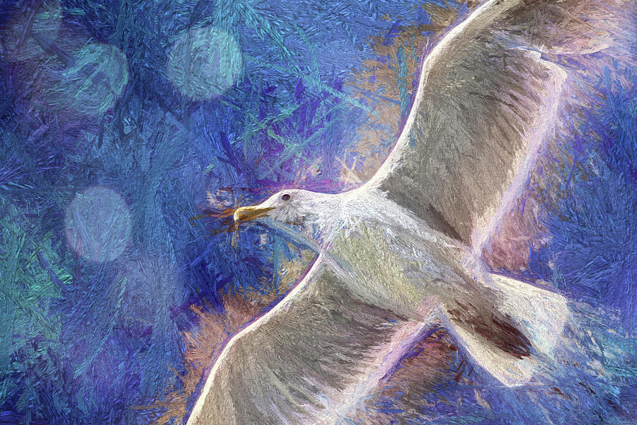 Seagull Against Blue Abstract Photograph by Peggy Collins