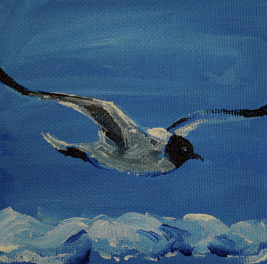 Seagull Painting by Anne Seay