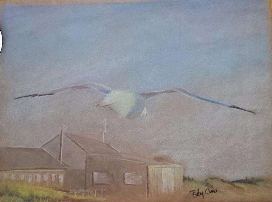 Seagull Pastel by Betsy Carlson Cross