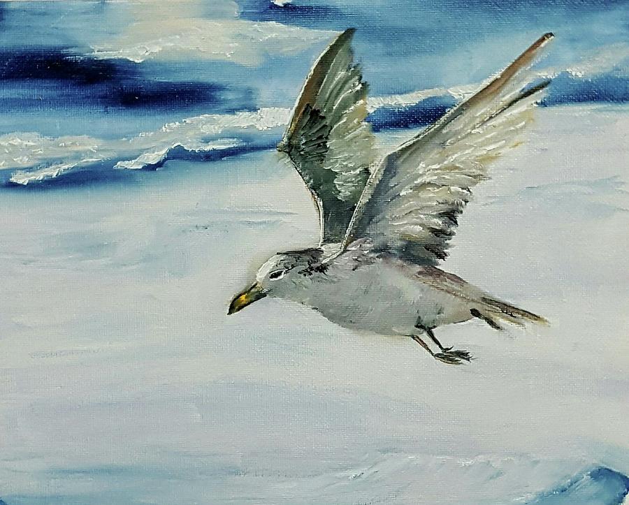 Seagull Painting by Connie Rish