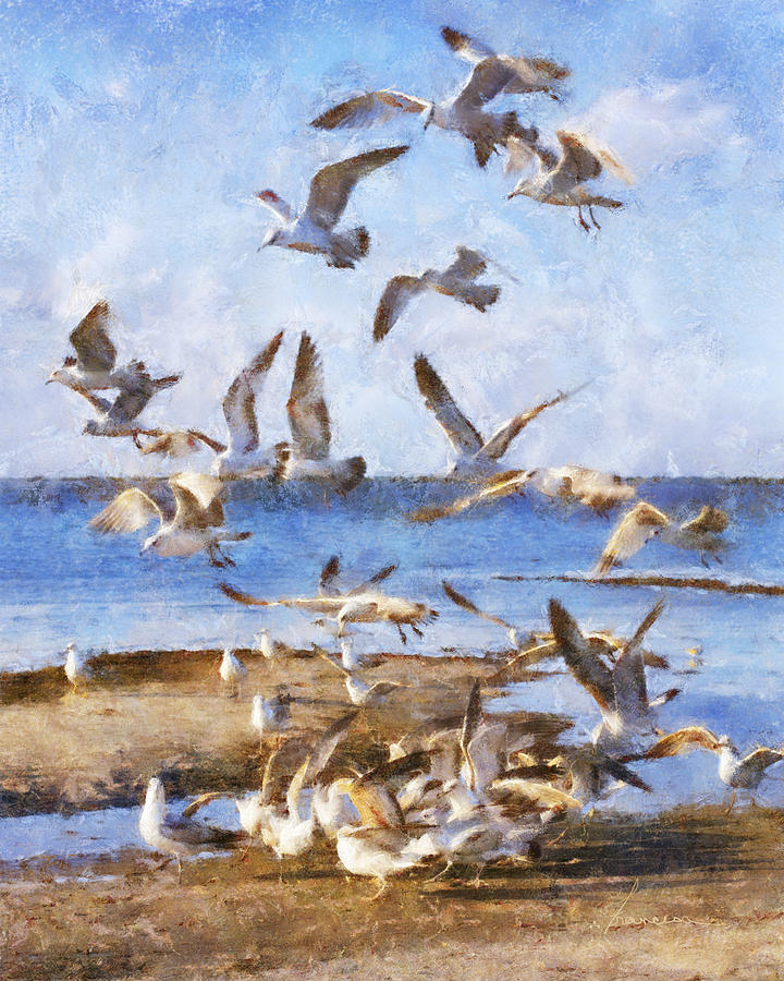 Seagull Convention Digital Art by Frances Miller