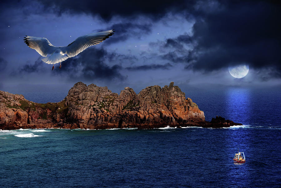 Seagull flight Photograph by Jaroslaw Grudzinski