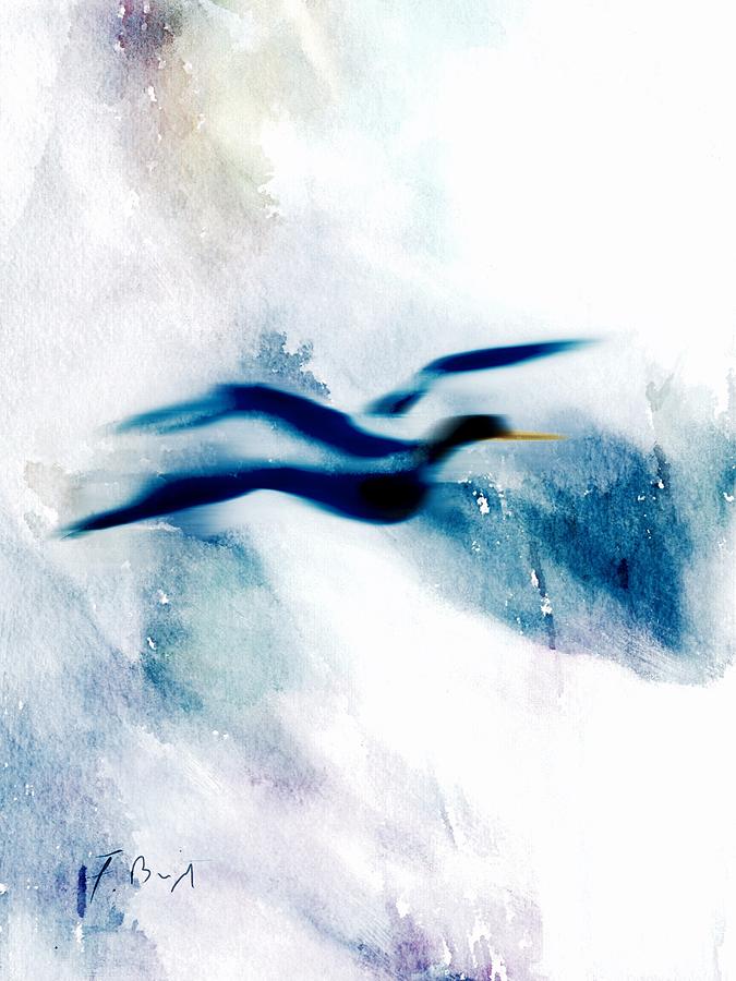 Seagull In Blue Digital Art by Frank Bright