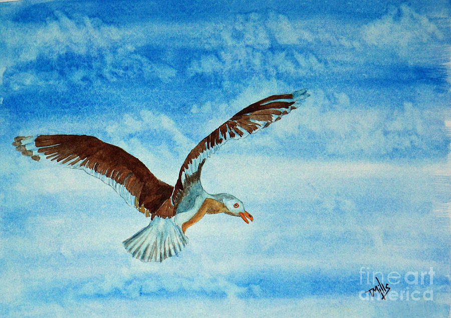 Seagull in Flight Painting by Terri Mills