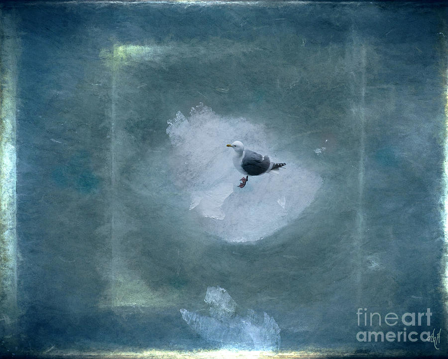Seagull on Iceflow Digital Art by Victoria Harrington