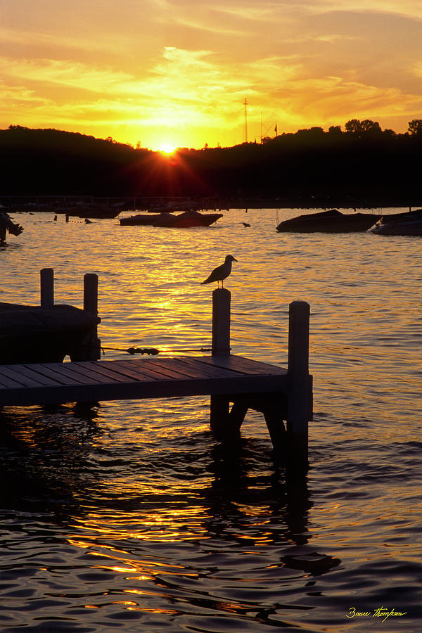 Bird Photograph - Keep Calm - Lake Geneva Wisconsin by Bruce Thompson