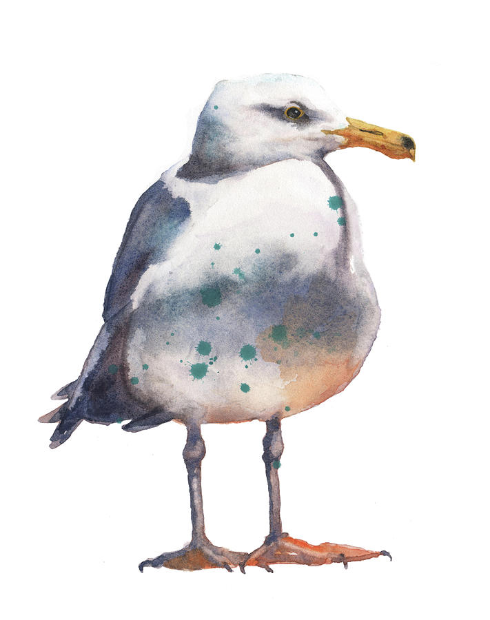 Seagull Painting - Seagull Print by Alison Fennell