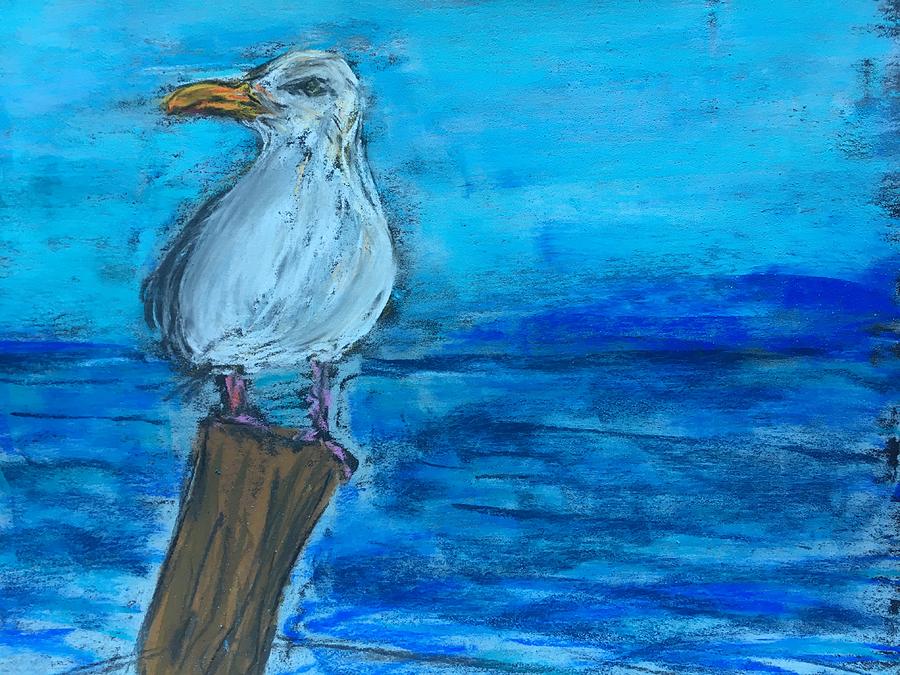 Seagull Pastel - Seagull by Renata Mantel