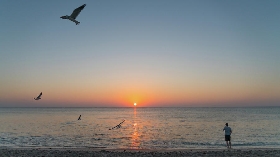 Seagull Soars Sunrise Delray Beach Florida Photograph by Lawrence S Richardson Jr