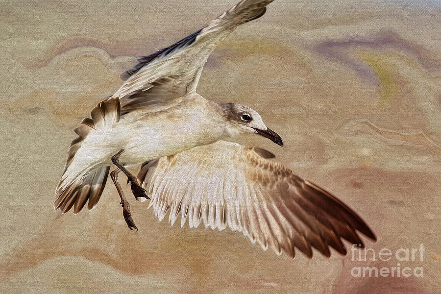 Seagull Swirl Painting by Deborah Benoit