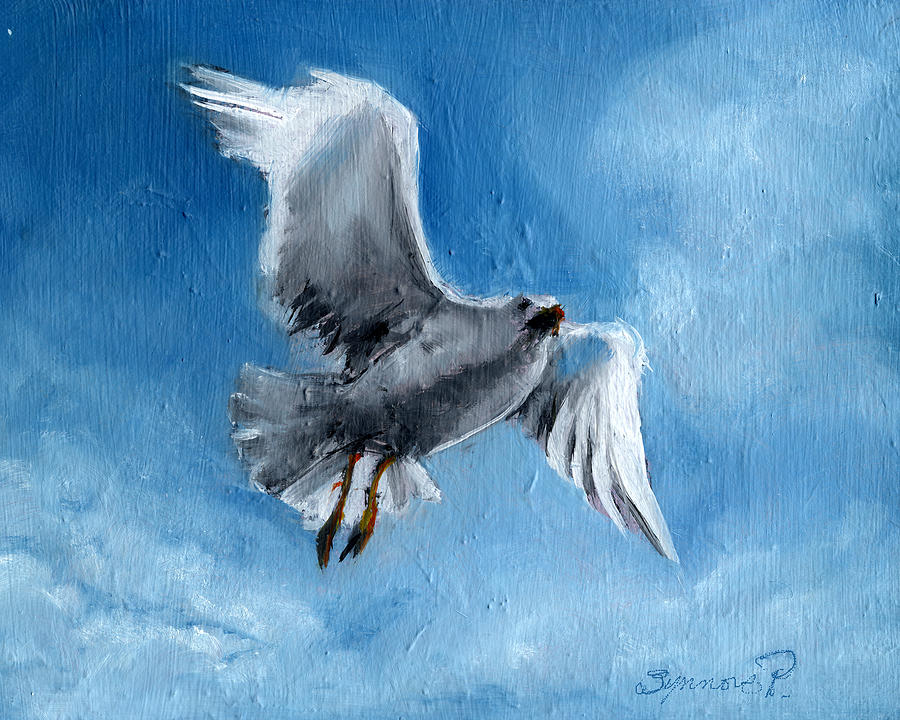 Seagull Painting by Synnove Pettersen