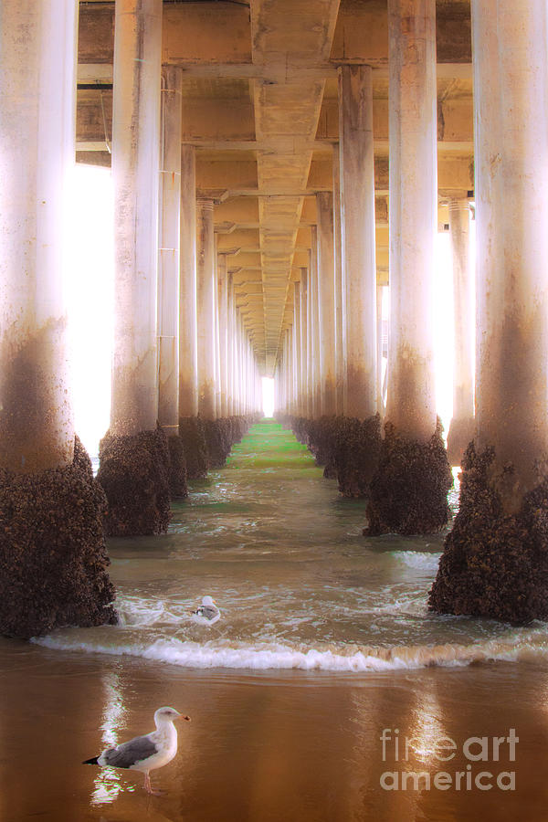Huntington Beach Photograph - Seagull Under The Pier by Jerry Cowart