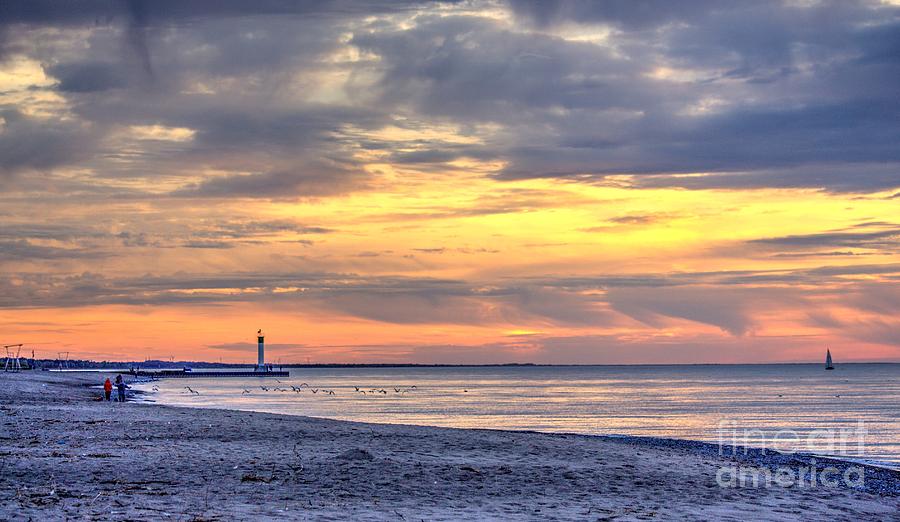 Sunset Photograph - Seagull Walking View  by John Scatcherd