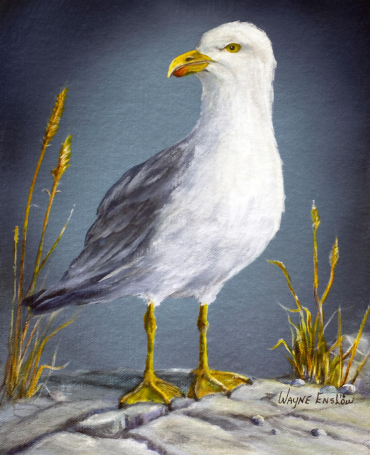 Seagull Painting by Wayne Enslow