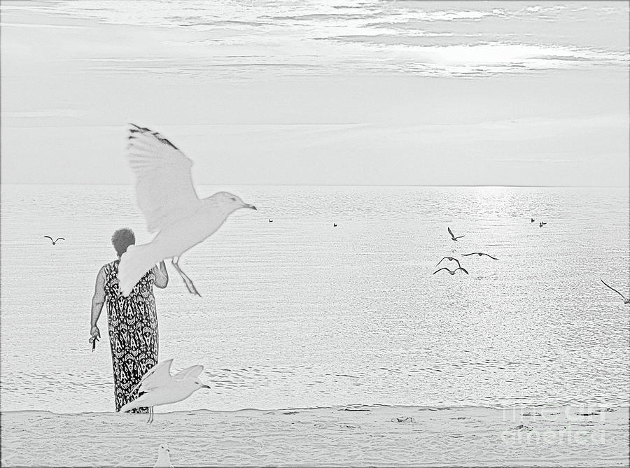 Bird Photograph - Seagulls All Around by Ann Horn