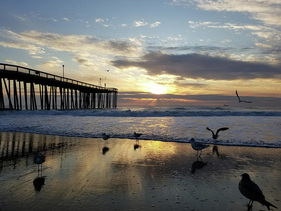 Seagulls and Salty Air Photograph by Robert Banach