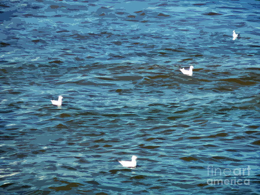 Seagulls And Water Art Digital Art by Francesca Mackenney