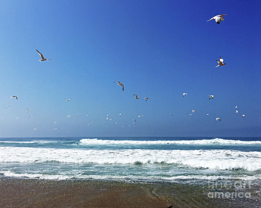 Seagulls and Wave Photograph by Cheryl Del Toro