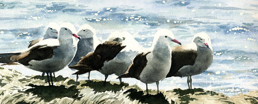 Wildlife Painting - Seagulls by David Rogers