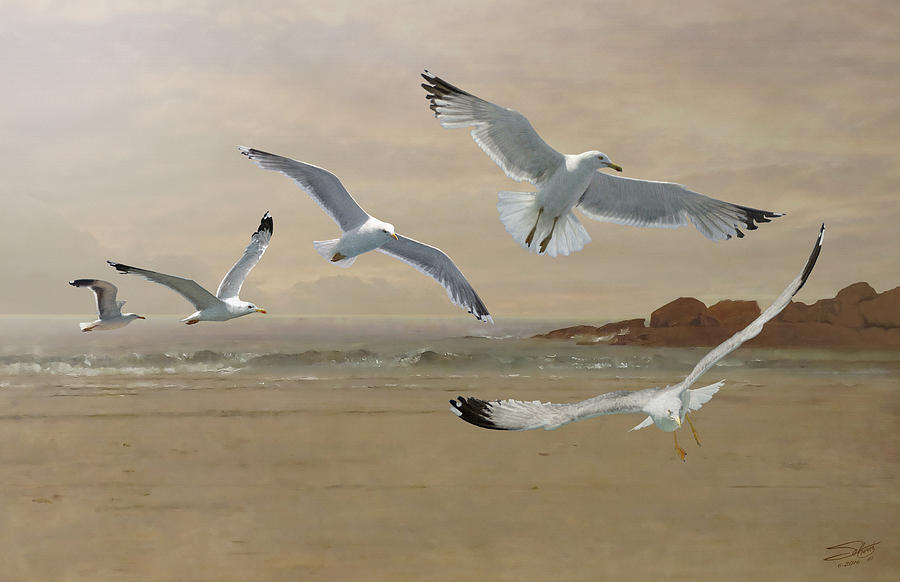 Seagulls Flying Along  the Beachfront Painting by M Spadecaller
