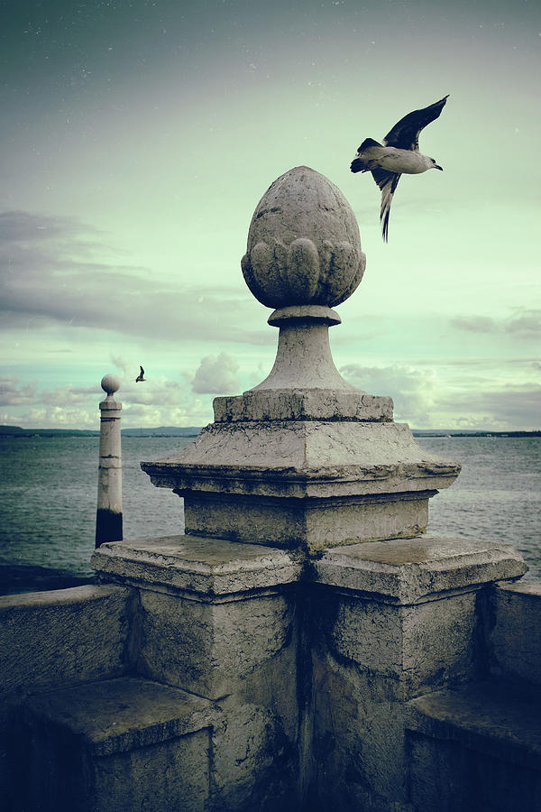 Seagulls in Columns Dock Photograph by Carlos Caetano