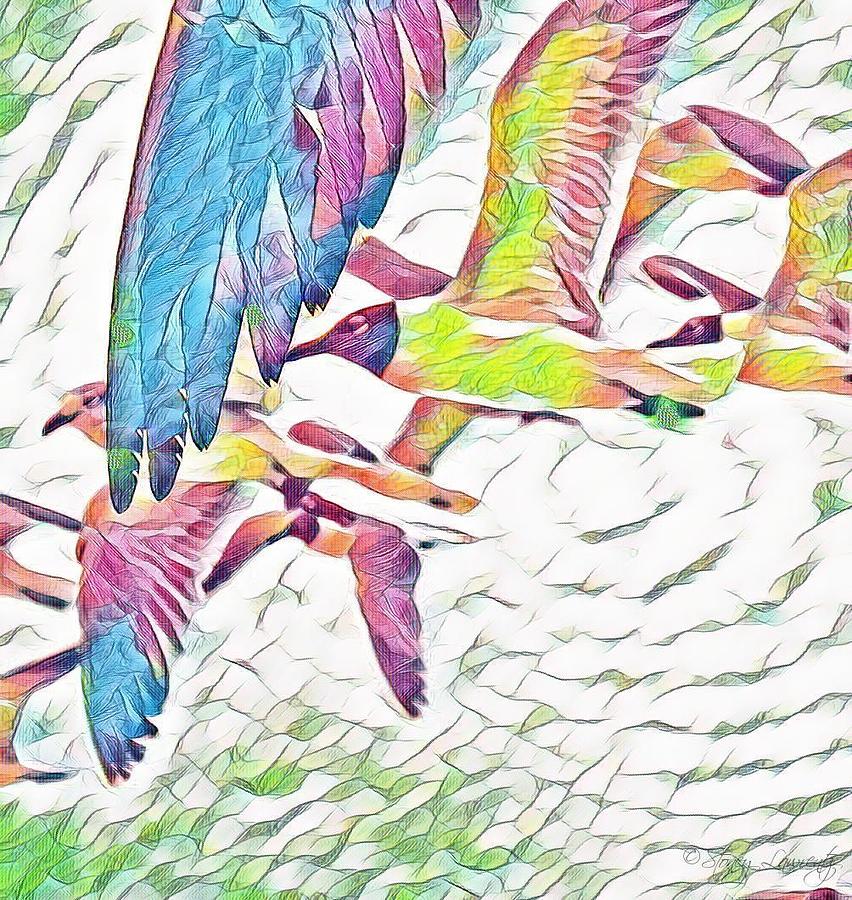 Seagulls in Pastel #1 Photograph by Stoney Lawrentz