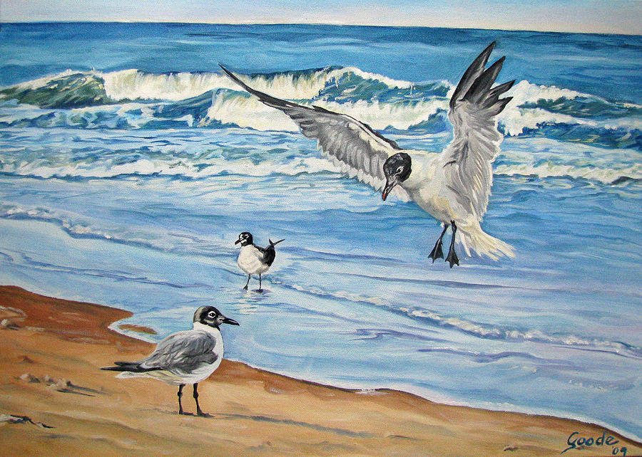Summer Painting - Seagulls by Jana Goode