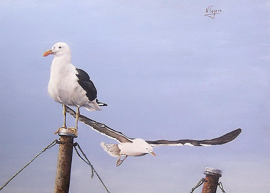 Seagulls Painting by Natalia Tejera