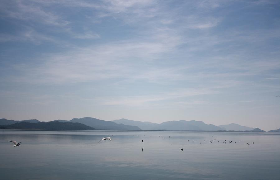 Seagulls on Koycegiz Lake Photograph by Taiche Acrylic Art