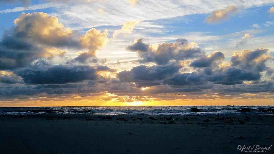 Seagulls on the Beach at Sunrise Photograph by Robert Banach