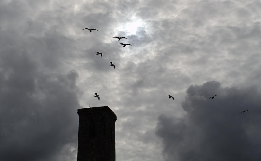 Seagulls Over St Rules Tower Photograph by Adrian Wale
