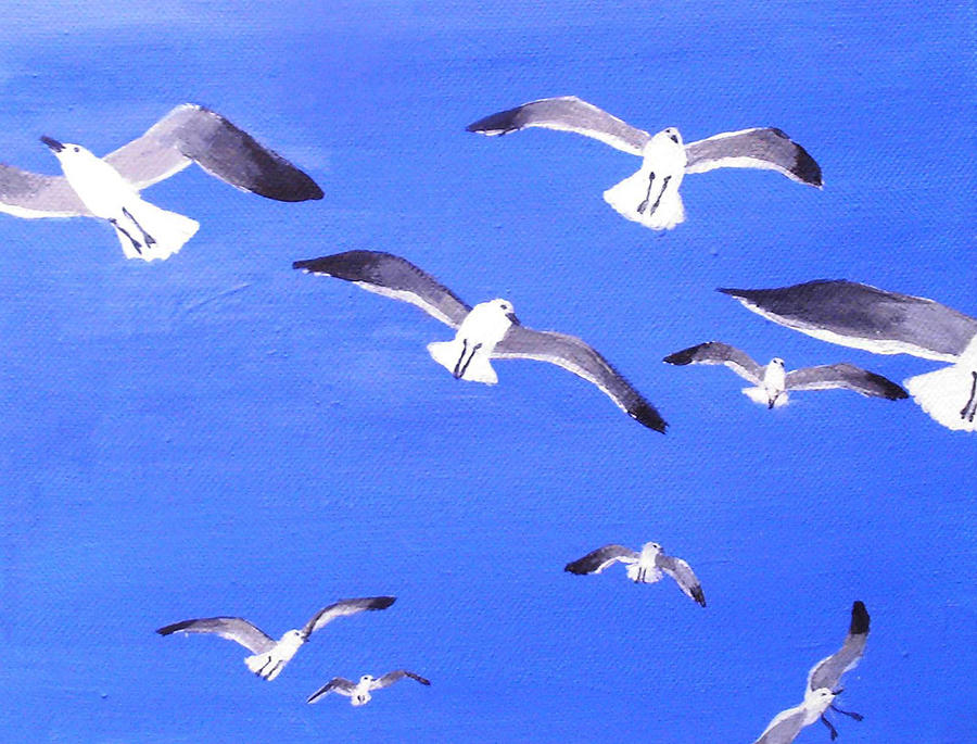 Seagulls Overhead Painting by Anne Marie Brown