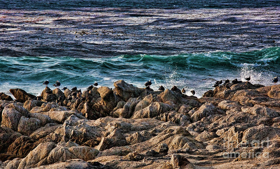 Seagulls Rock Pacific Ocean California  Photograph by Chuck Kuhn