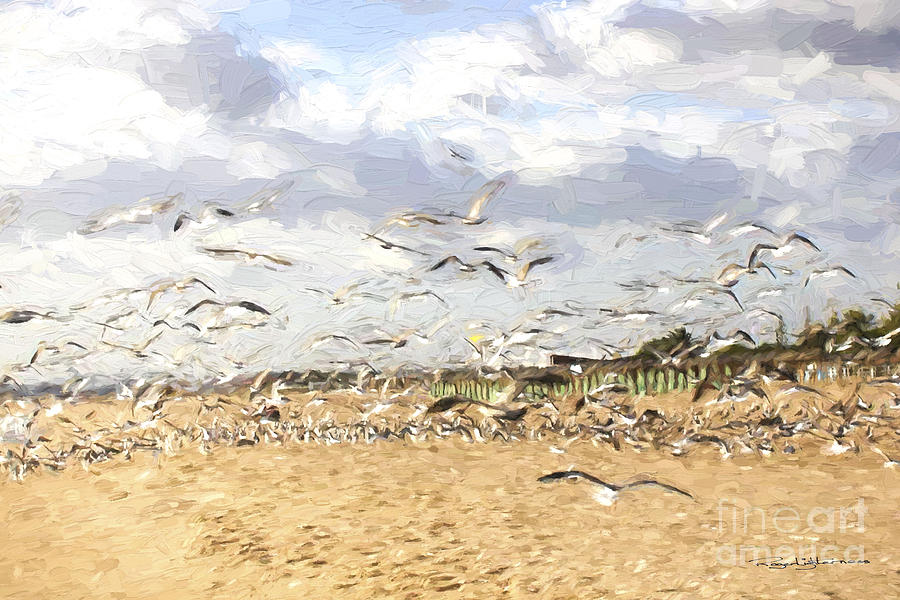 Seagulls,  Digital Art by Roger Lighterness