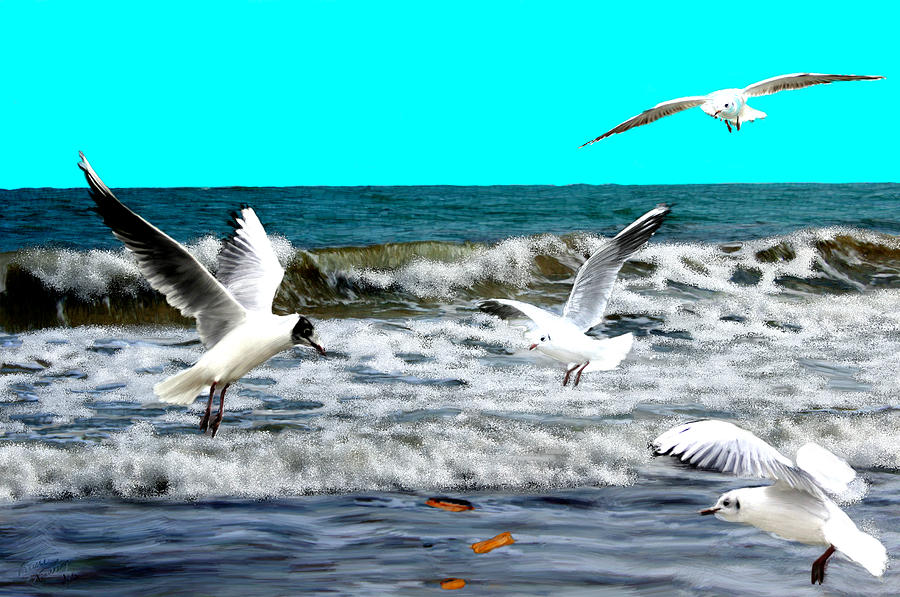 Seagulls Searching at Sea Painting by Bruce Nutting