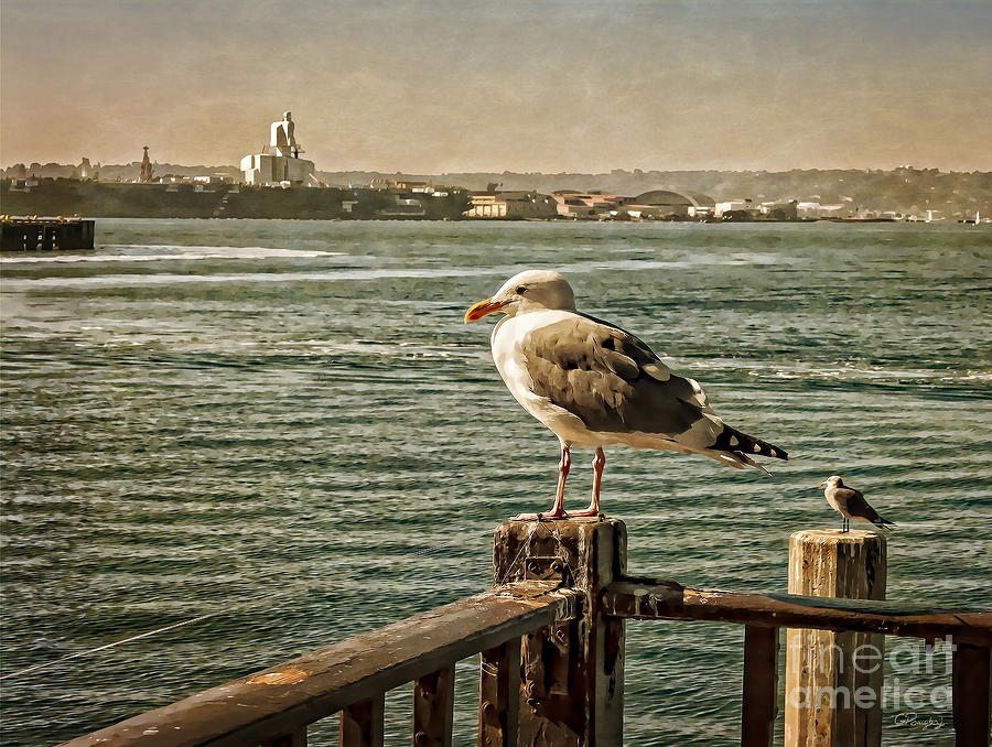 Seagulls Waiting for the Boats Photograph by Gabriele Pomykaj