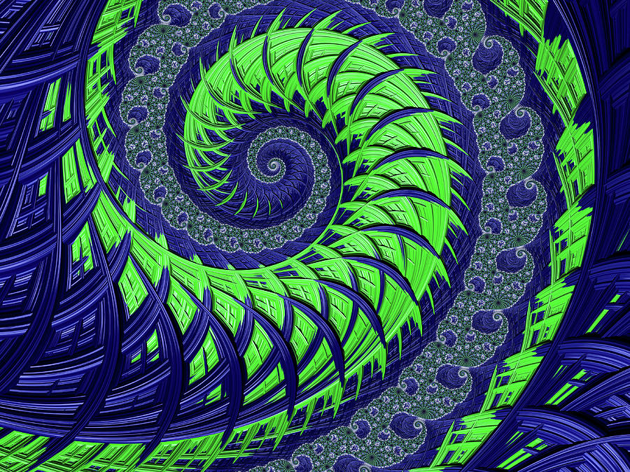 Seahawks Spiral Digital Art by Becky Herrera
