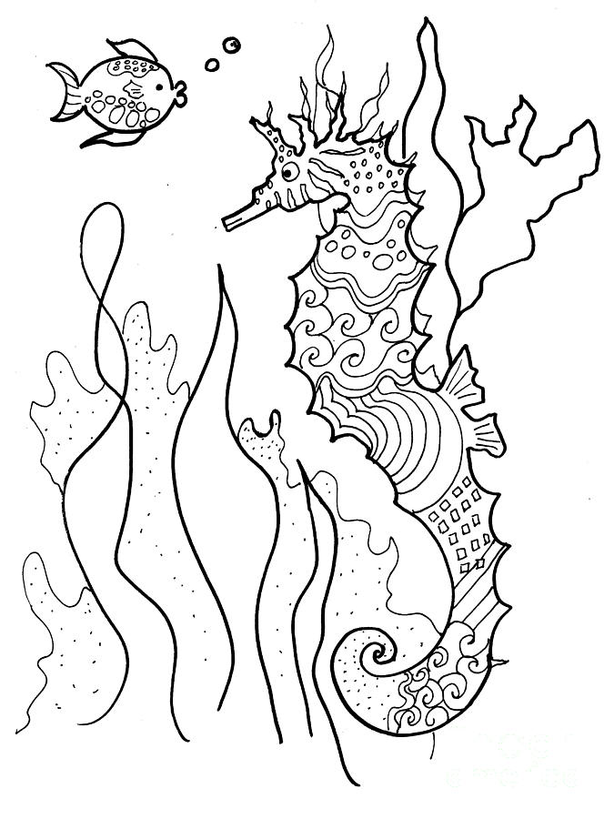 Seahorse and Fish Coloring Book Image Drawing by Robin Pedrero