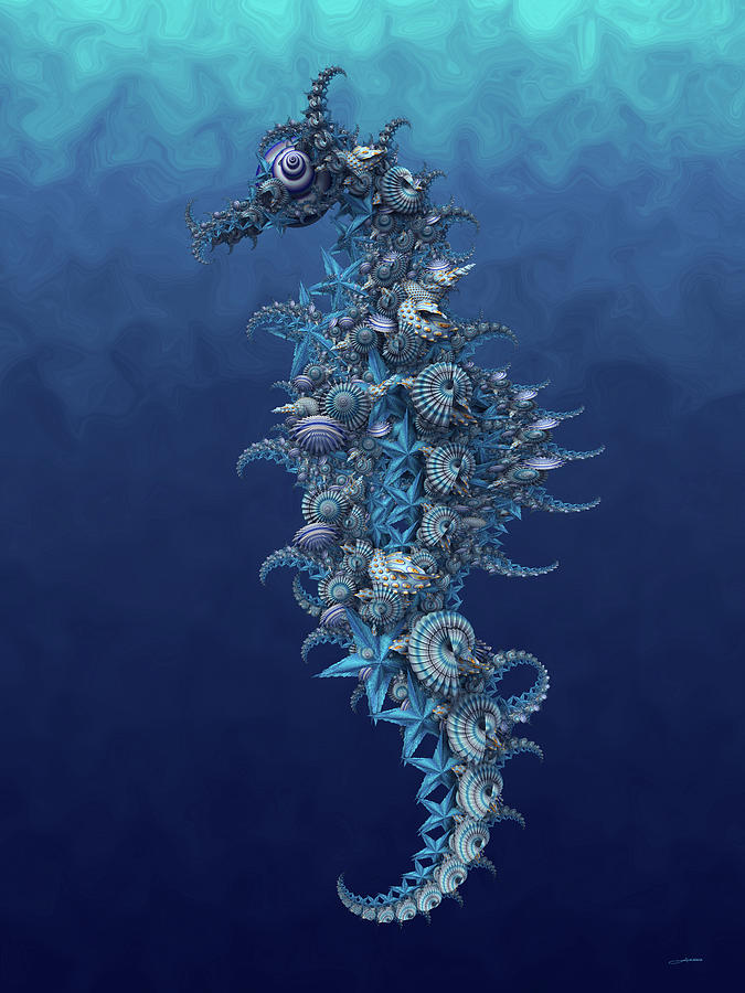 Seahorse Digital Art - Seahorse by Arun Manta