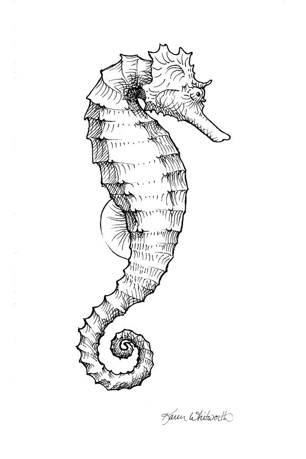 Seahorse Black and White Sketch Drawing by K Whitworth
