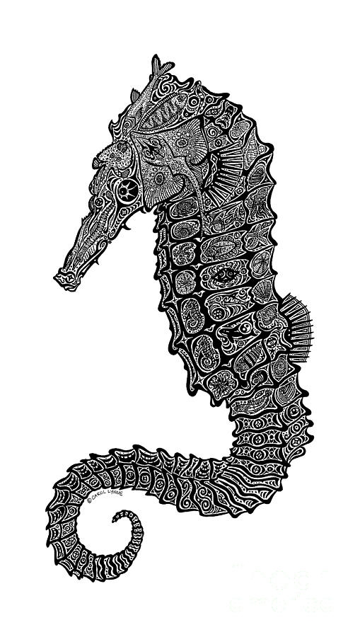 Nature Drawing - Seahorse by Carol Lynne