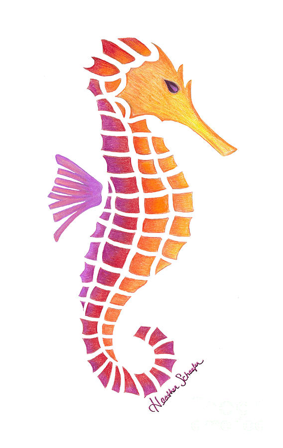 Seahorse Drawing by Heather Schaefer