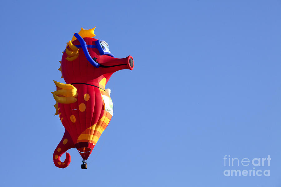 Seahorse Hot Air Balloon Photograph by Anthony Totah