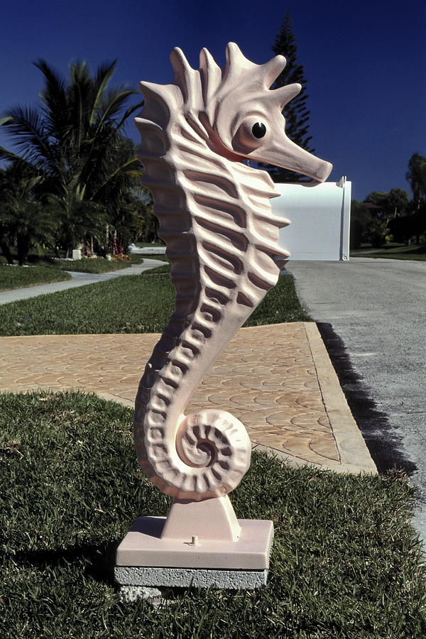 Seahorse Mailbox Stand Photograph by Sally Weigand